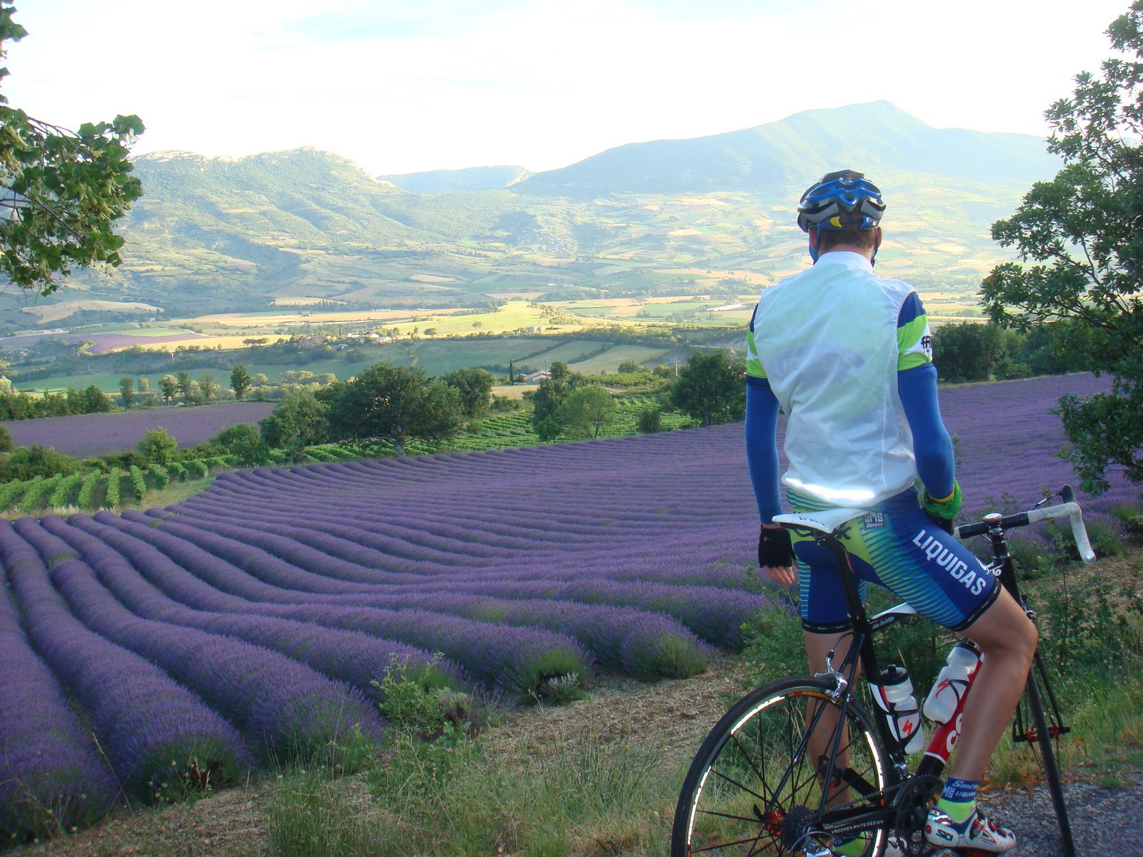 Cyclomundo rider looking upon the Lavender fields