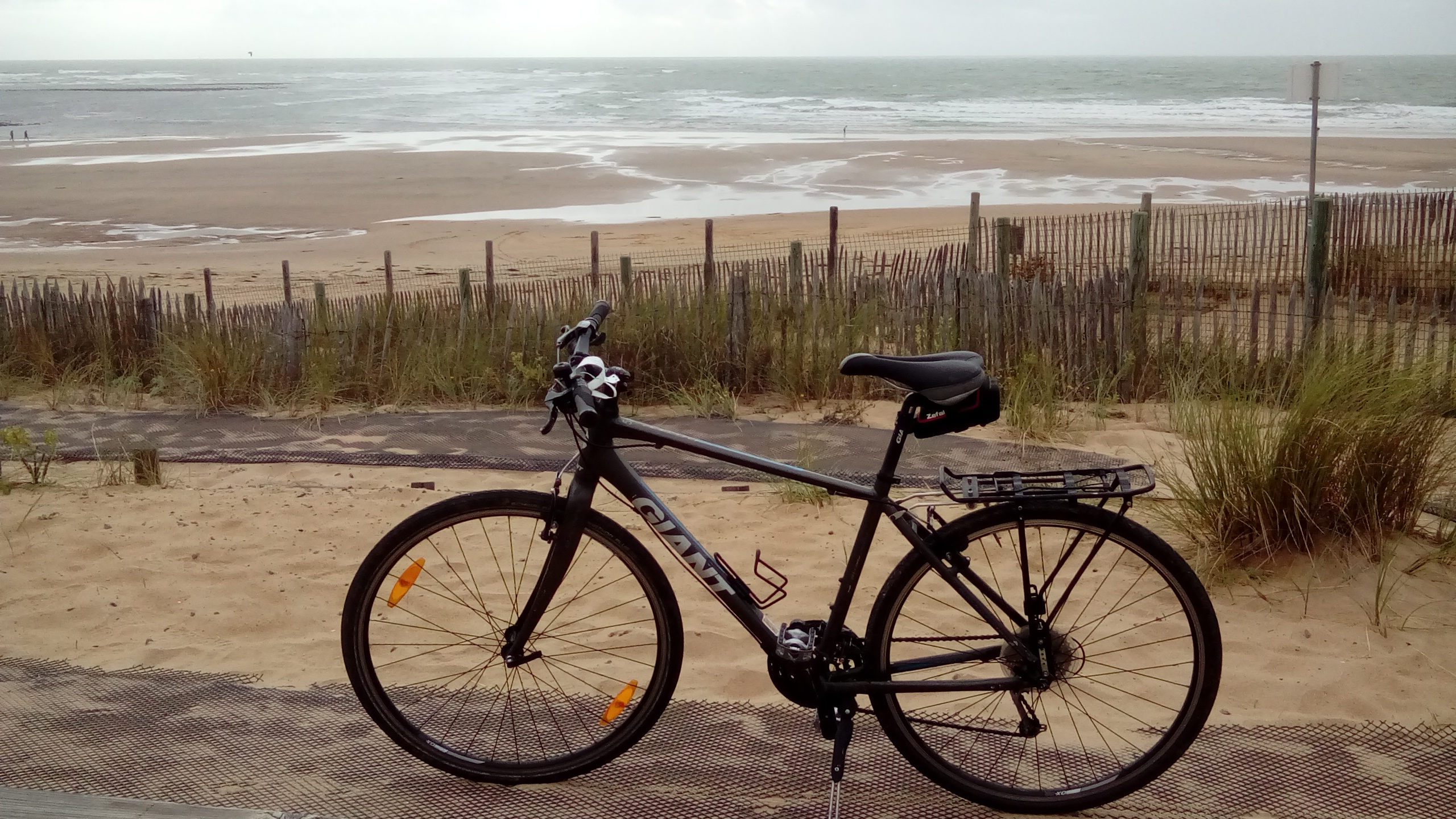 Hybrid bike at the beach