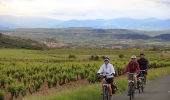 A vélo, vous découvrirez la région viticole de la Rioja en Espagne. 