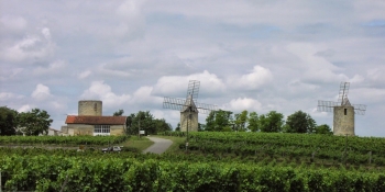 Biking through Bordeaux vineyards, the opportunity to discover some castles and windmills.