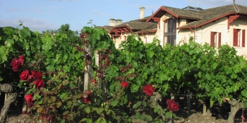 During the bike ride, discover the charm of some old houses hidden in the vineyards