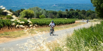 This self-guided cycling trip will take you to Provence's most famous vineyards