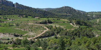 Côtes-du-Rhône wine growing area