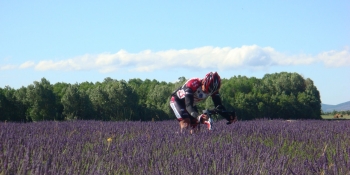 A vélo à travers la lavande en Haute Provence