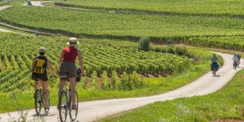 Biking in the vineyards of Burgundy between Beaune and Dijon