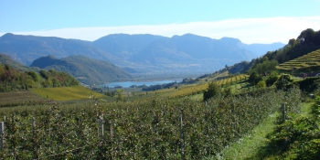 The itinerary crosses alpine valleys with orchards and vineyards