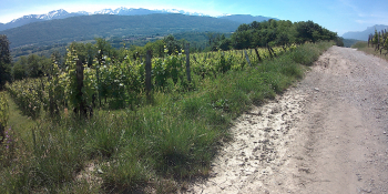 Au cours de l'étape entre Saint Pierre d'Albigny et Aix les Bains, vue sur les montagnes et les vignobles 