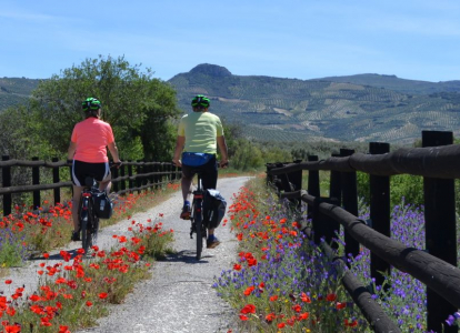 Cycling on the Vía Verde del Aceite Cyclists on the Vía Verde del Aceite greenway during a self-guided cycling tour through Andalusia, Spain